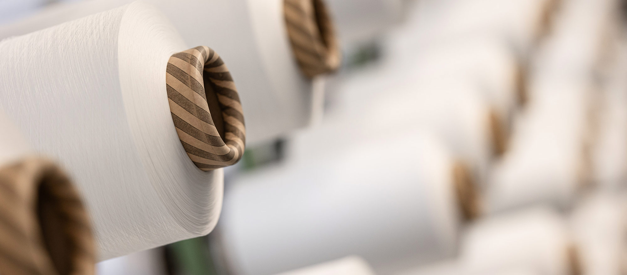 Dettaglio bobina elastomero MAB