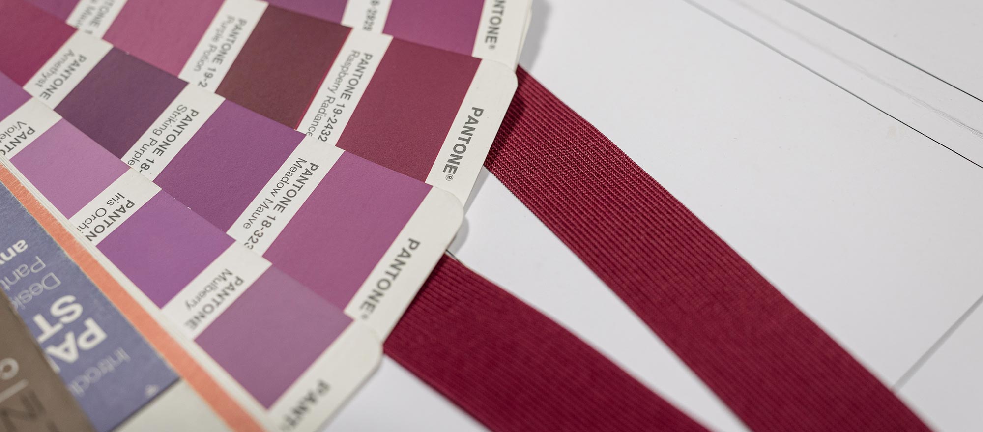 Dettaglio scelta colori per tintura MAB